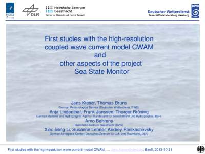 First studies with the high-resolution coupled wave current model CWAM and other aspects of the project Sea State Monitor