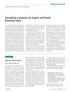 Amending a protocol to import and breed knockout mice