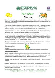 Fact Sheet  Citrus Citrus trees are among the most widely grown fruiting and ornamental trees in Tasmania. Most citrus grown are lemon trees however there are a number of other varieties that are also popular in home gar