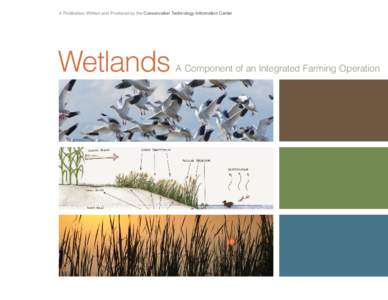 A Publication Written and Produced by the Conservation Technology Information Center  Wetlands A Component of an Integrated Farming Operation