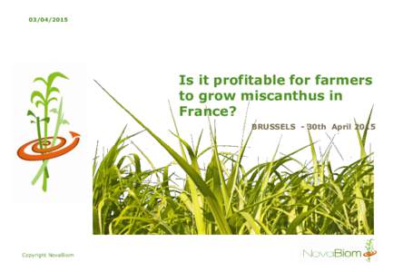 Is it profitable for farmers to grow miscanthus in France? BRUSSELS - 30th April 2015