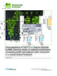 Downregulation of GAUT12 in Populus deltoides by RNA silencing results in reduced recalcitrance, increased growth and reduced xylan and pectin in a woody biofuel feedstock