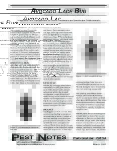 AVOCADO LACE BUG Integrated Pest Management for Home Gardeners and Landscape Professionals The avocado lace bug (Pseudacysta perseae, family Tingidae) occurs in the Caribbean, French Guyana, Mexico,