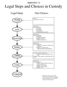 Appendix A  Legal Steps and Choices in Custody Legal Steps Warning