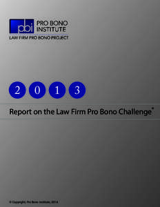 2013 Challenge Report.indd