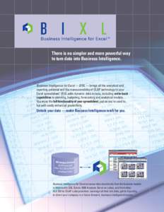 There is no simpler and more powerful way to turn data into Business Intelligence. Business Intelligence for Excel — BIXL — brings all the analytical and reporting potential and the maneuverability of OLAP technology