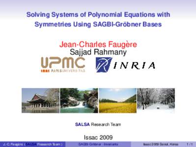 Solving Systems of Polynomial Equations with ¨ Symmetries Using SAGBI-Grobner Bases  `