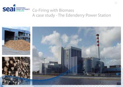 Co-Firing with Biomass A case study - The Edenderry Power Station Co-Firing with Biomass, A case study - The Edenderry Power Station  Wood chips through the screen