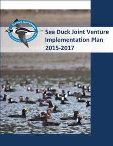 Sea Duck Joint Venture Implementation Plan Suggested Citation: Sea Duck Joint VentureSea Duck Joint Venture Implementation Plan for January