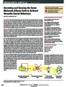 RESEARCH ARTICLE SUMMARY Secreting and Sensing the Same Molecule Allows Cells to Achieve Versatile Social Behaviors  READ THE FULL ARTICLE ONLINE
