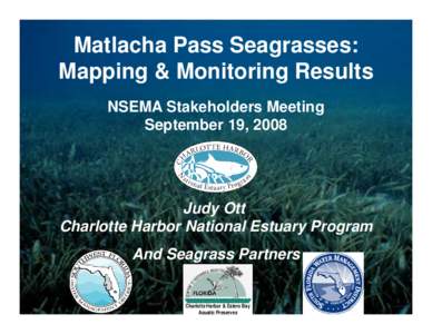 Matlacha Pass Seagrasses: Mapping & Monitoring Results NSEMA Stakeholders Meeting September 19, 2008  Judy Ott