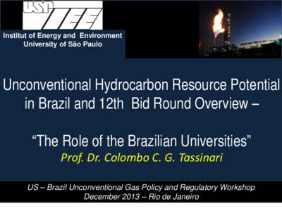 Institut of Energy and Environment University of São Paulo Unconventional Hydrocarbon Resource Potential in Brazil and 12th Bid Round Overview – “The Role of the Brazilian Universities”
