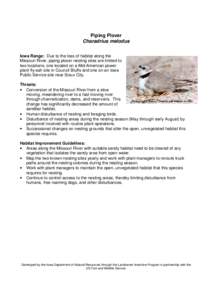 Piping Plover Charadrius melodus Iowa Range: Due to the loss of habitat along the Missouri River, piping plover nesting sites are limited to two locations; one located on a Mid-American power plant fly-ash site in Counci