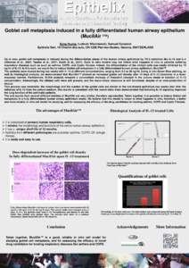 Epithelix in vitro Solutions for Respiratory Diseases and Chemical Testing Goblet cell metaplasia induced in a fully differentiated human airway epithelium (MucilAir ™)