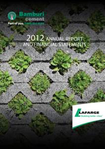2012 ANNUAL REPORT  AND FINANCIAL STATEMENTS Building better cities™