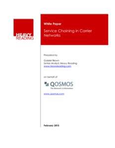 White Paper  Service Chaining in Carrier Networks  Prepared by