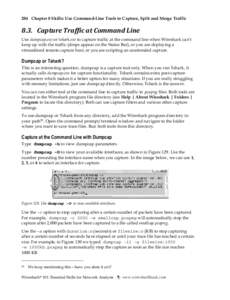 Microsoft Word - Wireshark 101 Book-v7.doc