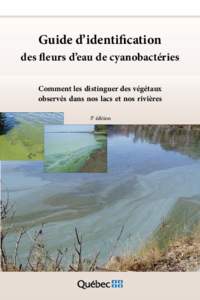 Guide d’identification des fleurs d’eau de cyanobactéries Comment les distinguer des végétaux observés dans nos lacs et nos rivières 3e édition