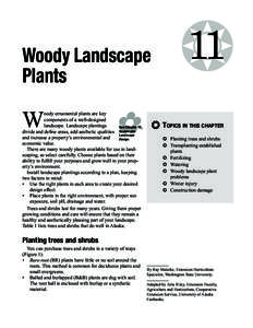 Woody Landscape Plants W  oody ornamental plants are key