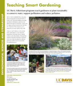 UC Davis Arboretum programs teach gardeners to plant sustainably to conserve water, support pollinators and reduce pollution. The UC Davis Arboretum is a beautiful 100-acre living museum along the banks of Putah Creek. A