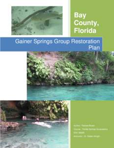 Bay County, Florida Gainer Springs Group Restoration Plan