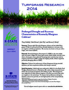 Turfgrass Research  	2014 Prolonged Drought and Recovery Characteristics of Kentucky Bluegrass