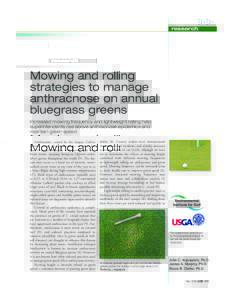 research  Mowing and rolling strategies to manage anthracnose on annual bluegrass greens