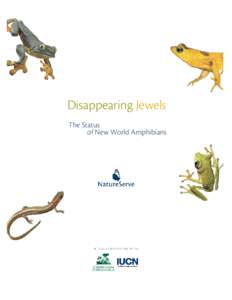 Disappearing Jewels The Status of New World Amphibians I N C O L L A B O R AT I O N W I T H