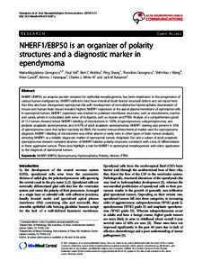 NHERF1/EBP50 is an organizer of polarity structures and a diagnostic marker in ependymoma