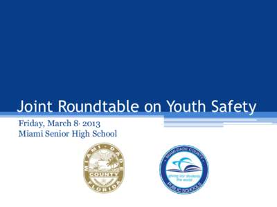 Joint Roundtable on Youth Safety Friday, March 8, 2013 Miami Senior High School Joint Presentation on Community Action Plan
