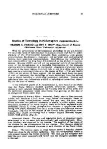 Studies of Teretology in Heliotropium curassavicum L.