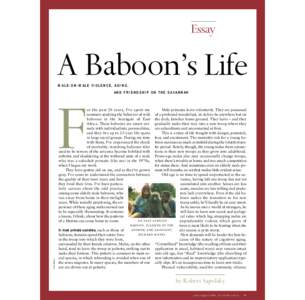 Barbara Smuts / Primatology / Primate / Gerontology / Sexual selection / Robert Sapolsky / Hamadryas baboon / Chacma baboon / Fauna of Africa / Demography / Baboon