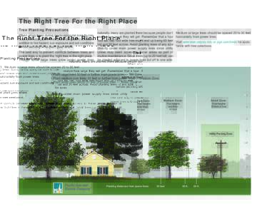 The Right Tree For the Right Place Tree Planting Precautions When siting trees during landscaping be sure to consider overhead power lines and underground utilities in addition to fire hazard, sun exposure and soil condi