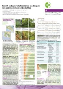 Growth and survival of rainforest seedlings in reforestation in lowland Costa Rica Nina Schnetzer1 , Daniel Jenking2, Anton Weissenhofer3, Peter Hietz1 email:  1 Institute of Botany, Universität 