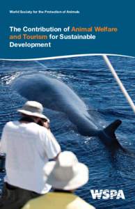 Types of tourism / Tourism / Travel / Economy / Ecotourism / Whale watching / Sustainable tourism / Animal welfare / World Tourism Organization / Sustainable development / World Animal Protection