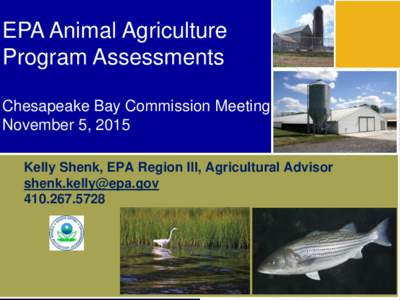 EPA Animal Agriculture Program Assessments For More Information Chesapeake Bay Commission Meeting November 5, 2015 Kelly Shenk, EPA Region III, Agricultural Advisor