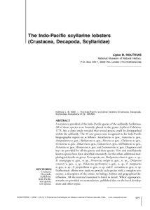 Scyllarus arctus / Scyllarides / Scyllarus / Slipper lobster / Somite / Arctides guineensis / Ibacus peronii / Crustacean / Thenus / Achelata / Phyla / Protostome