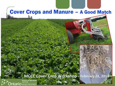 Cover Crops and Manure – A Good Match  MCCC Cover Crop Workshop - February 28, 2013 Cover Crops - Why? • Erosion protection