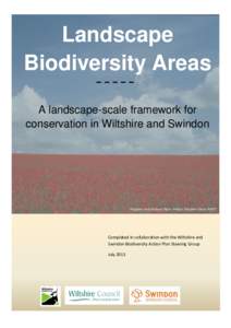 Landscape Biodiversity Areas A landscape-scale framework for conservation in Wiltshire and Swindon  Poppies on Salisbury Plain. Photo: Stephen Davis WWT