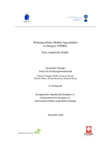 Wirkungseffekte Mobiler Jugendarbeit in Stuttgart (WIMO). Eine empirische Studie. Universität Tübingen Institut für Erziehungswissenschaft