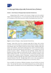 Geography of Turkey / Turkish Riviera / Provinces of Turkey / Mula Province / Coastal geography / Integrated coastal zone management / Coastal engineering / ztuzu Beach / Dalyan / Lake Kyceiz / Yumurtalk / Coastal management
