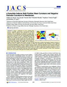 Article pubs.acs.org/JACS α-Synuclein Induces Both Positive Mean Curvature and Negative Gaussian Curvature in Membranes Anthony R. Braun,† Eva Sevcsik,‡ Pamela Chin,§ Elizabeth Rhoades,‡ Stephanie Tristram-Nagle,