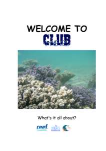 WELCOME TO  What’s it all about? CLUB MER PROGRAMME What is Club Mer’s Introductory Marine Ecology Course?