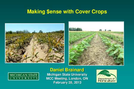Making $ense with Cover Crops  Figure 1. Winter rye residues in reduced-tillage snap beans can helps suppress weeds, retain moisture, and protect the soil.