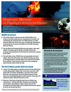Deepwater Horizon:  An Ongoing Environmental Disaster The BP Deepwater Horizon blowout took a massive toll on our environment and the region’s wildlife and communities. For three months after the initial explosion, mil