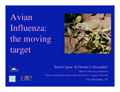 Avian Influenza: the moving target Ilaria Capua1 & Dennis J Alexander2 OIE/FAO Reference Laboratories
