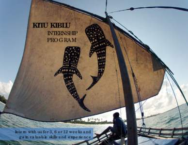 KITU KIBLU  INTERNSHIP PROGRAM  Intern with us for 3, 6 or 12 weeks and