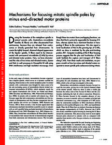JCB: ARTICLE  Mechanisms for focusing mitotic spindle poles by minus end–directed motor proteins Gohta Goshima,1 François Nédélec,2 and Ronald D. Vale1 1