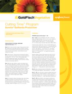 Cutting Time™ Program Sunrita® Gaillardia Production Callused Cutting (CC) Direct Stick – Quart Finish  FINISHING