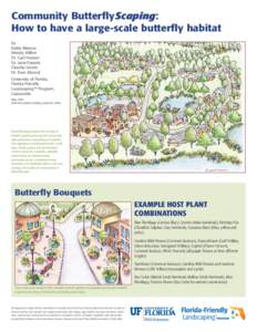 Community ButterflyScaping: How to have a large-scale butterfly habitat by Kathy Malone Wendy Wilber Dr. Gail Hansen